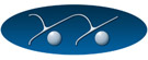Yoyo Formazione Rotolante